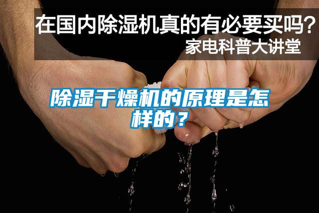 除濕干燥機的原理是怎樣的？