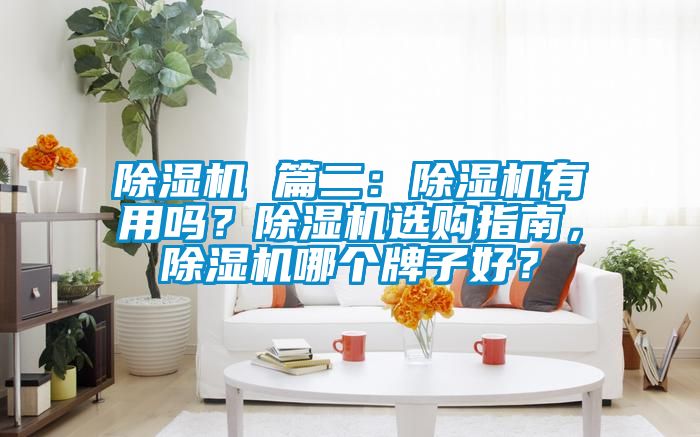 除濕機 篇二：除濕機有用嗎？除濕機選購指南，除濕機哪個牌子好？