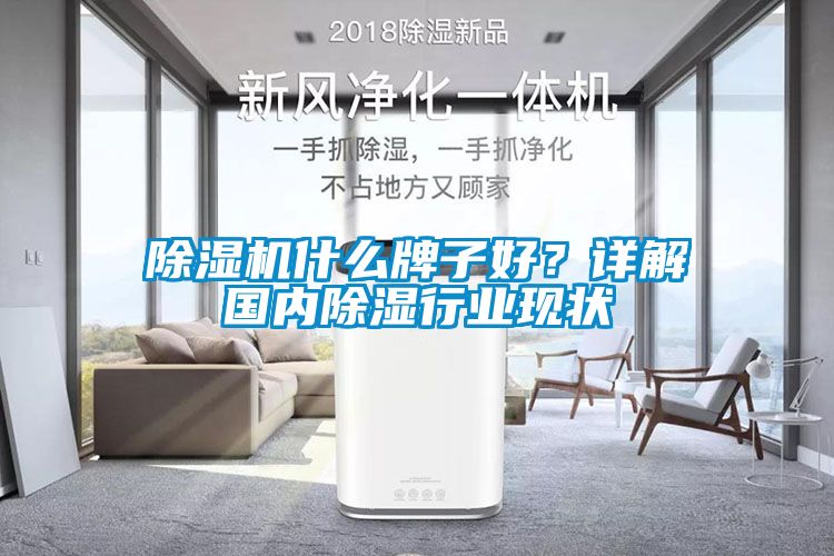 除濕機什么牌子好？詳解國內除濕行業現狀