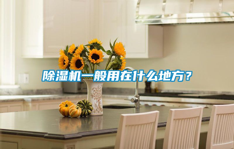除濕機一般用在什么地方？