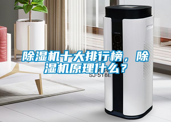 除濕機十大排行榜，除濕機原理什么？