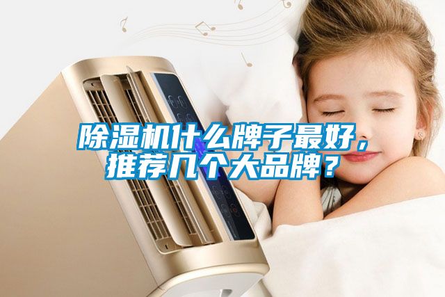 除濕機什么牌子最好，推薦幾個大品牌？