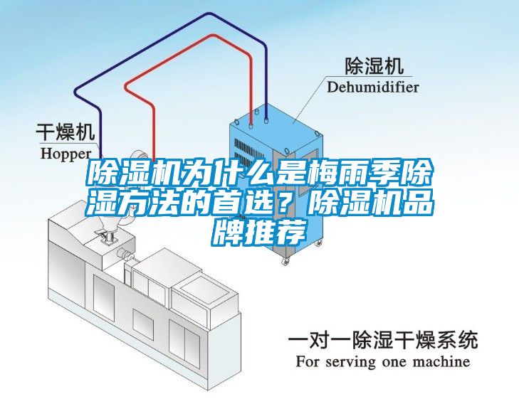 除濕機為什么是梅雨季除濕方法的首選？除濕機品牌推薦