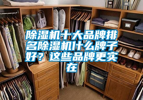 除濕機十大品牌排名除濕機什么牌子好？這些品牌更實在