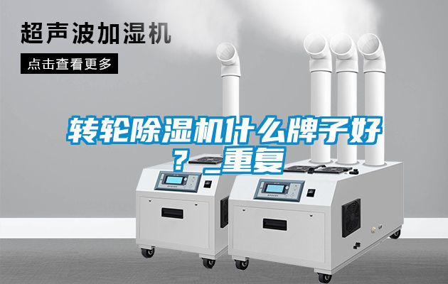 轉輪除濕機什么牌子好？_重復