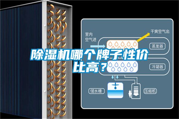 除濕機哪個牌子性價比高？