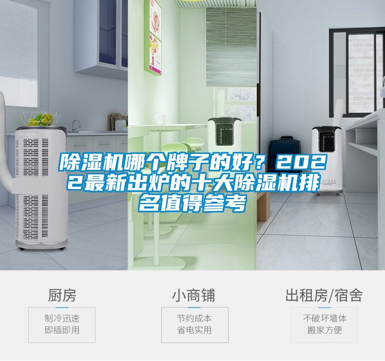 除濕機哪個牌子的好？2022最新出爐的十大除濕機排名值得參考