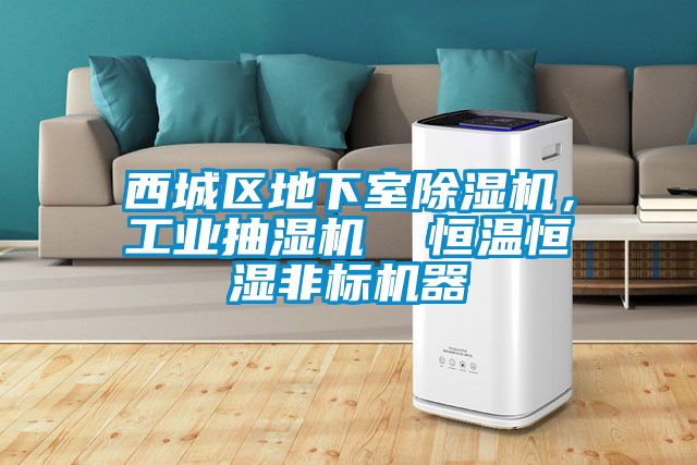 西城區地下室除濕機，工業抽濕機  恒溫恒濕非標機器