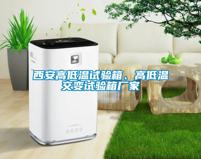 西安高低溫試驗箱、高低溫交變試驗箱廠家