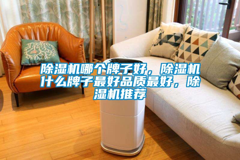 除濕機哪個牌子好，除濕機什么牌子最好品質最好，除濕機推薦