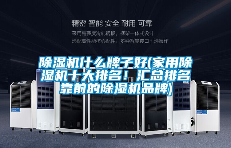 除濕機什么牌子好(家用除濕機十大排名！匯總排名靠前的除濕機品牌)
