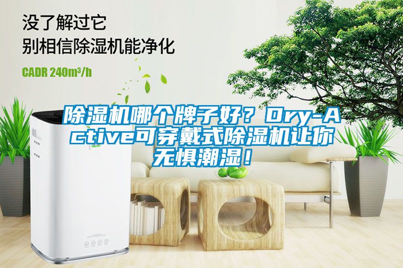 除濕機哪個牌子好？Dry-Active可穿戴式除濕機讓你無懼潮濕！