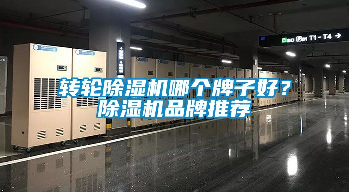 轉輪除濕機哪個牌子好？除濕機品牌推薦