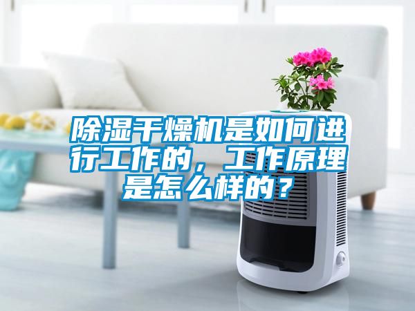 除濕干燥機是如何進行工作的，工作原理是怎么樣的？