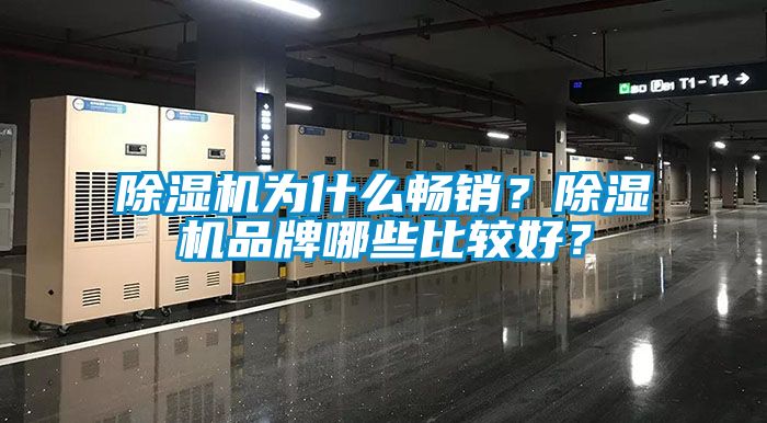 除濕機為什么暢銷？除濕機品牌哪些比較好？