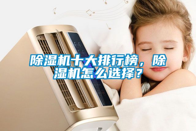 除濕機十大排行榜，除濕機怎么選擇？