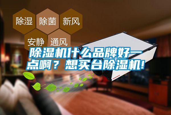 除濕機什么品牌好一點??？想買臺除濕機!