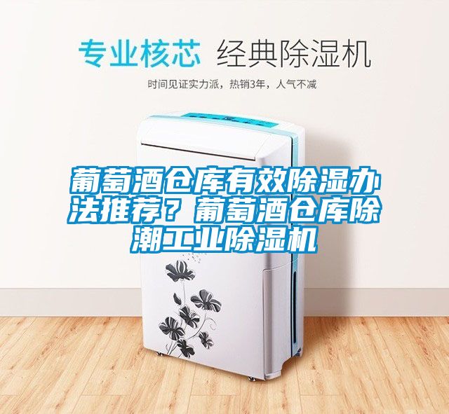 葡萄酒倉庫有效除濕辦法推薦？葡萄酒倉庫除潮工業除濕機