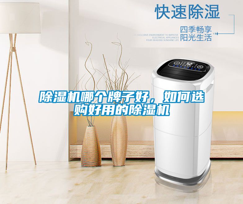 除濕機哪個牌子好，如何選購好用的除濕機