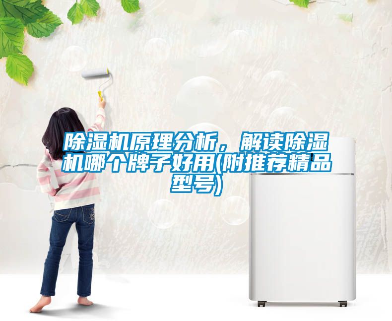 除濕機原理分析，解讀除濕機哪個牌子好用(附推薦精品型號)
