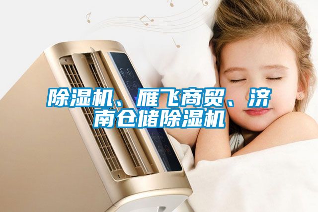 除濕機、雁飛商貿、濟南倉儲除濕機