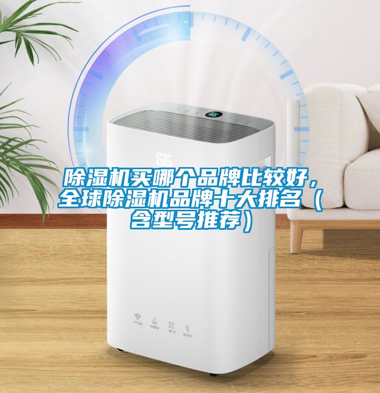 除濕機買哪個品牌比較好，全球除濕機品牌十大排名（含型號推薦）
