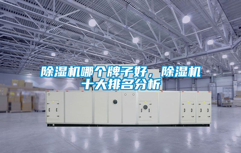 除濕機哪個牌子好，除濕機十大排名分析