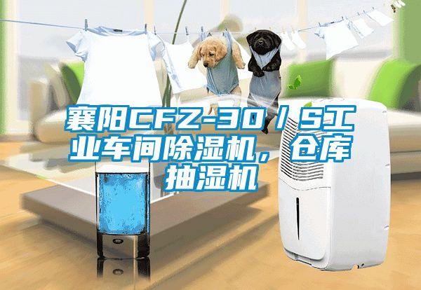 襄陽CFZ-30／S工業車間除濕機，倉庫抽濕機