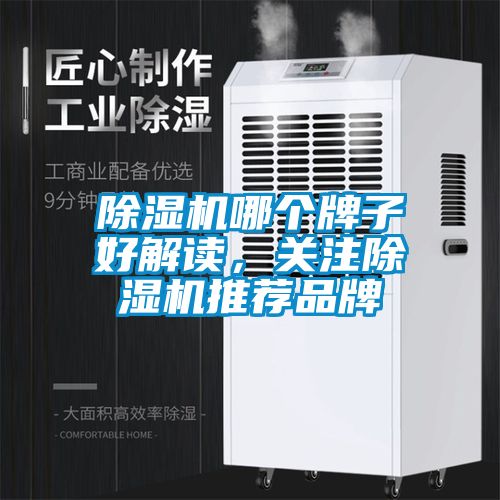 除濕機哪個牌子好解讀，關注除濕機推薦品牌