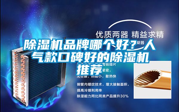 除濕機品牌哪個好？人氣款口碑好的除濕機推薦