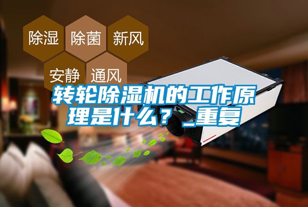 轉輪除濕機的工作原理是什么？_重復