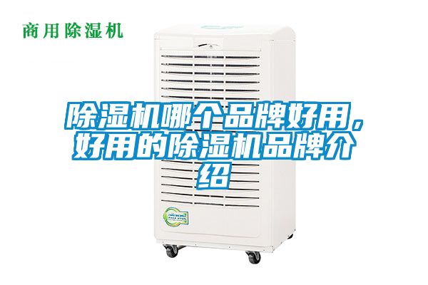 除濕機哪個品牌好用，好用的除濕機品牌介紹