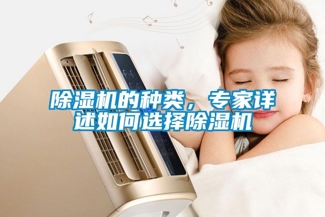 除濕機的種類，專家詳述如何選擇除濕機