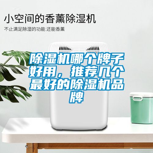 除濕機哪個牌子好用，推薦幾個最好的除濕機品牌