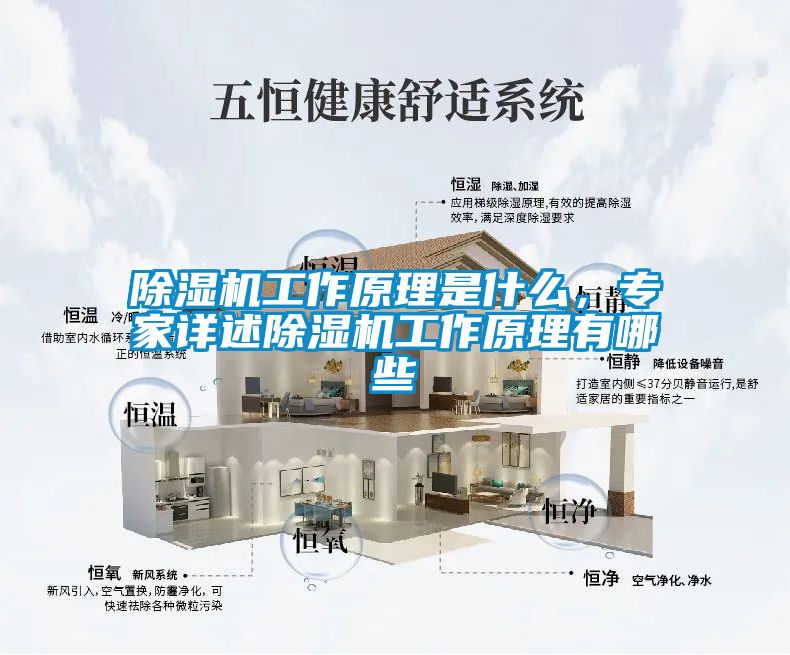 除濕機工作原理是什么，專家詳述除濕機工作原理有哪些