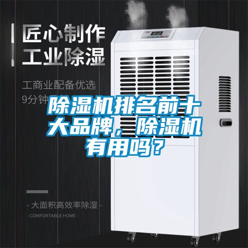 除濕機排名前十大品牌，除濕機有用嗎？