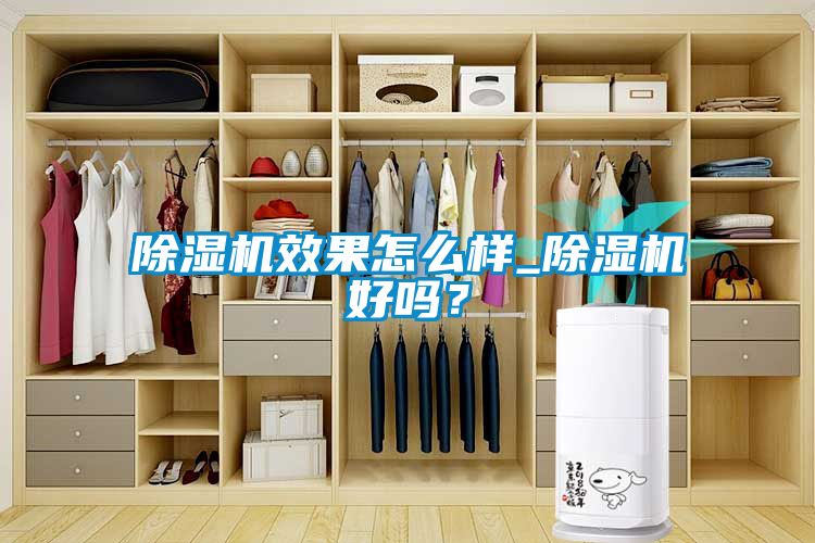 除濕機效果怎么樣_除濕機好嗎？