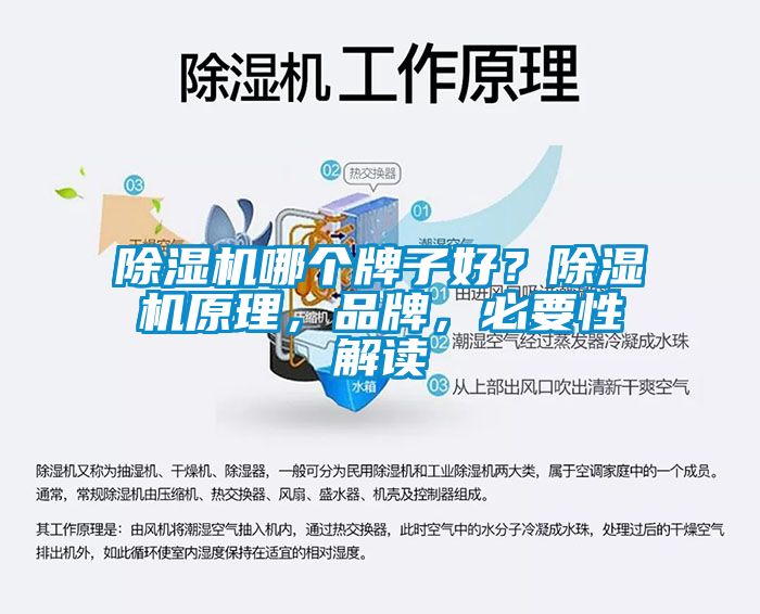 除濕機哪個牌子好？除濕機原理，品牌，必要性解讀
