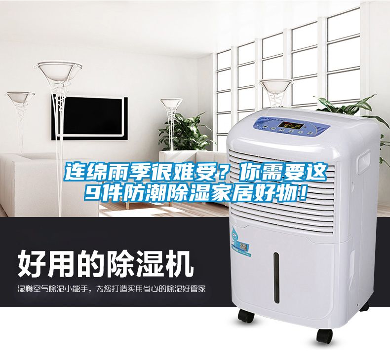 連綿雨季很難受？你需要這9件防潮除濕家居好物！