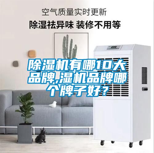 除濕機有哪10大品牌,濕機品牌哪個牌子好？