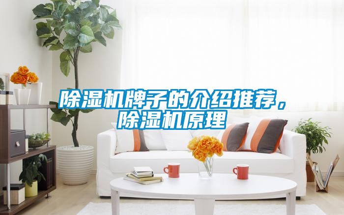 除濕機牌子的介紹推薦，除濕機原理