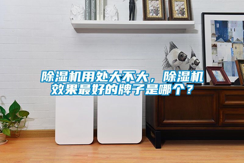 除濕機用處大不大，除濕機效果最好的牌子是哪個？