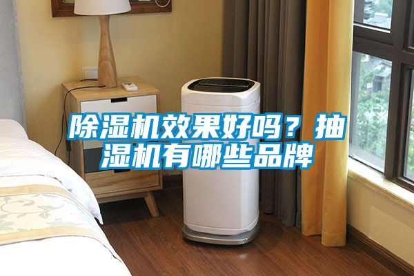 除濕機效果好嗎？抽濕機有哪些品牌