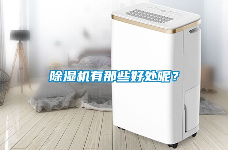 除濕機有那些好處呢？