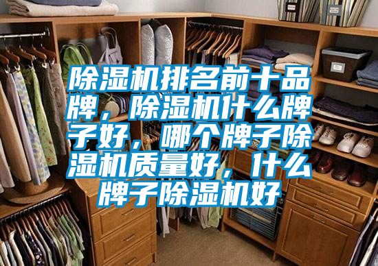 除濕機排名前十品牌，除濕機什么牌子好，哪個牌子除濕機質量好，什么牌子除濕機好