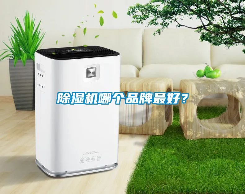 除濕機哪個品牌最好？