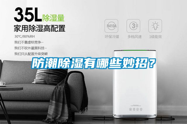防潮除濕有哪些妙招？