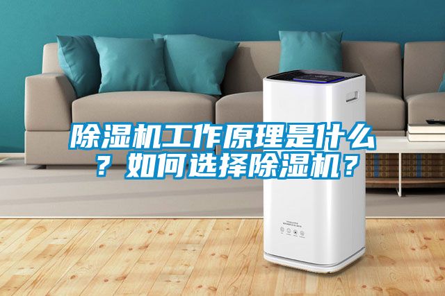 除濕機工作原理是什么？如何選擇除濕機？