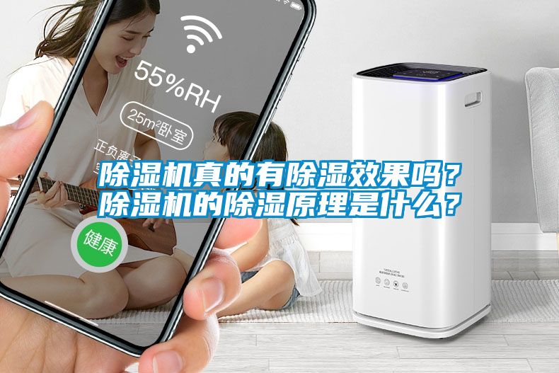 除濕機真的有除濕效果嗎？除濕機的除濕原理是什么？