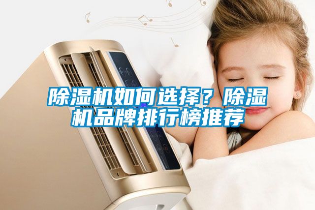 除濕機如何選擇？除濕機品牌排行榜推薦